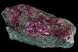 Vibrant, Magenta Erythrite Crystals - Morocco #93591-1